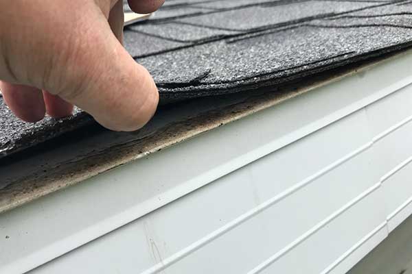 Close up of a worker's hand lifting up some asphalt shingles from a residential roof in order to inspect the roof underneath